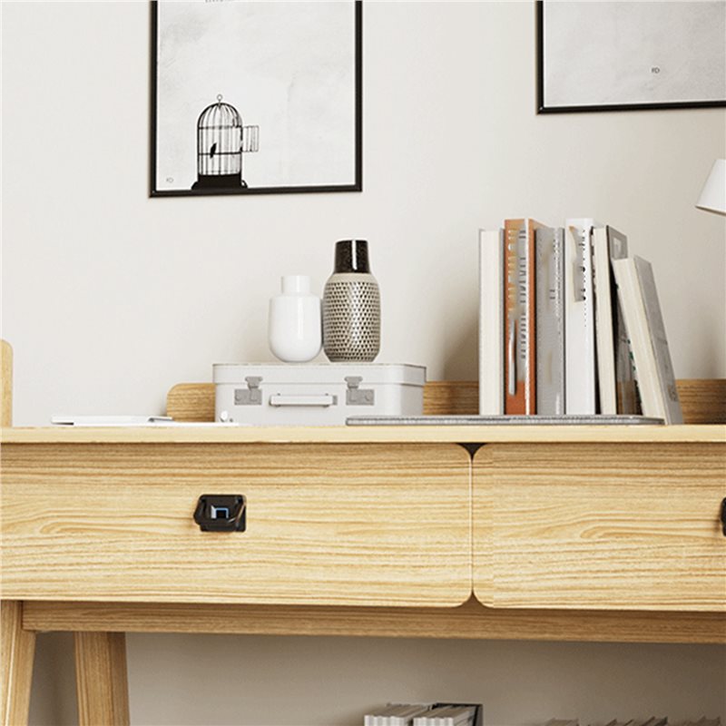 Fechadura Inteligente N13R (Du - Office Furniture Cabinets avaliação e preço
